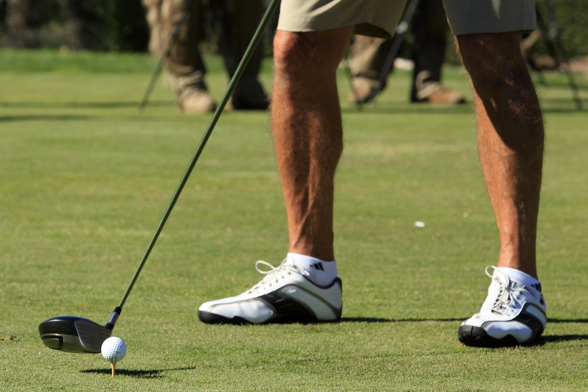 Maine golf club rentals