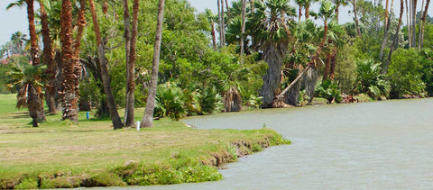 Rent golf clubs in Texas